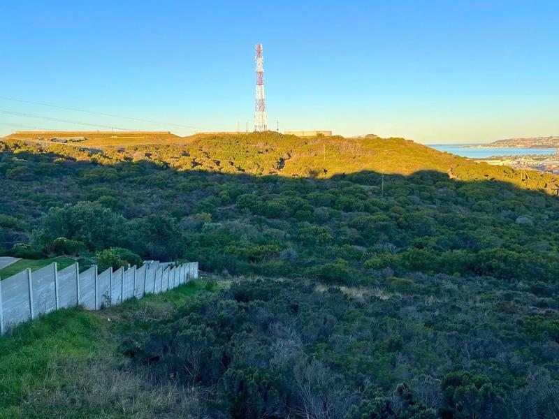 0 Bedroom Property for Sale in Seemeeu Park Western Cape